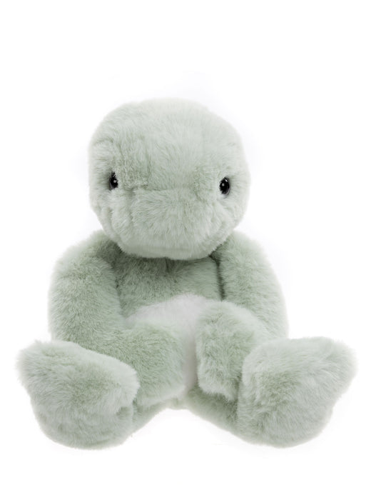Bear & Me - Timmy Tortoise
